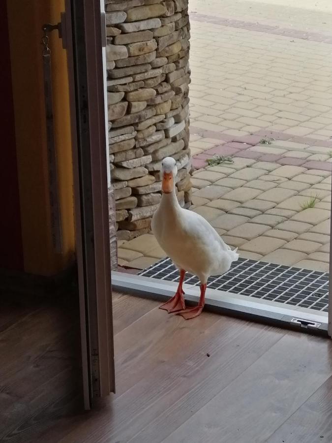 Na Szlaku Villa Rzepedz Kültér fotó