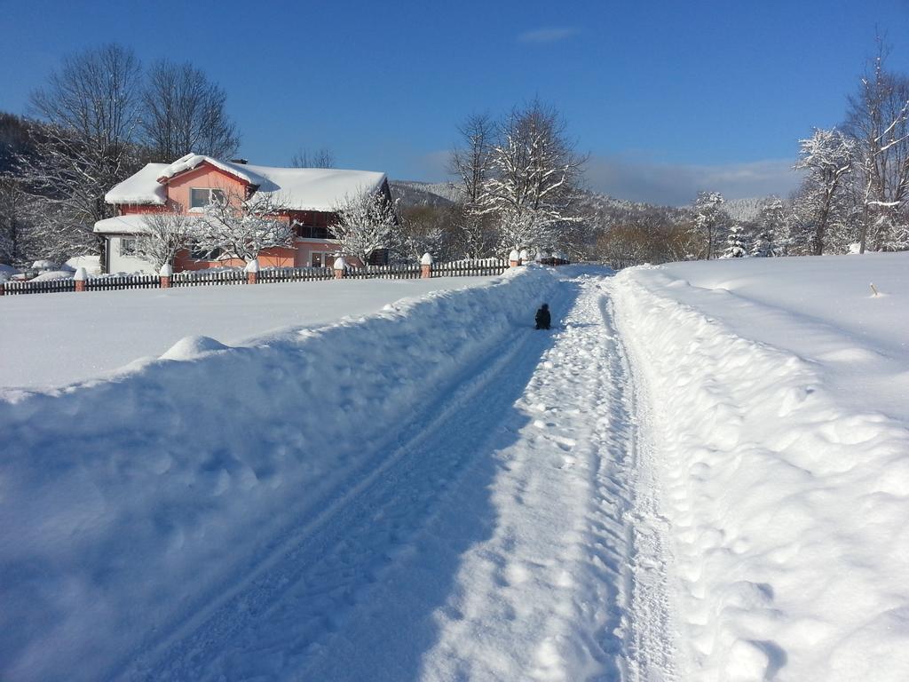 Na Szlaku Villa Rzepedz Kültér fotó
